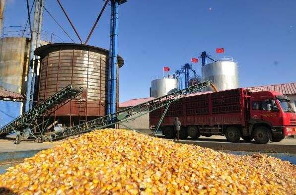 ���ִ�ʳƷ�ӹ�����ʳ�մ��˼�����װ�����ص�ר��2018�����Ŀ�걨ָ��