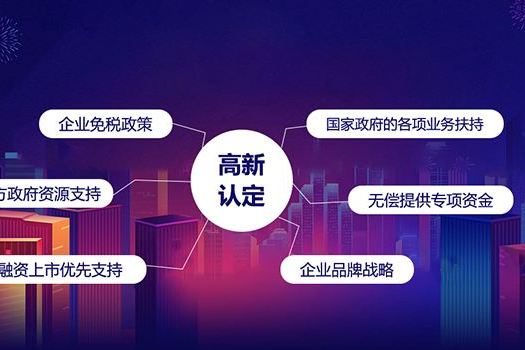 2020����¼�����ҵ�϶��Ժ�˰���Ż�����